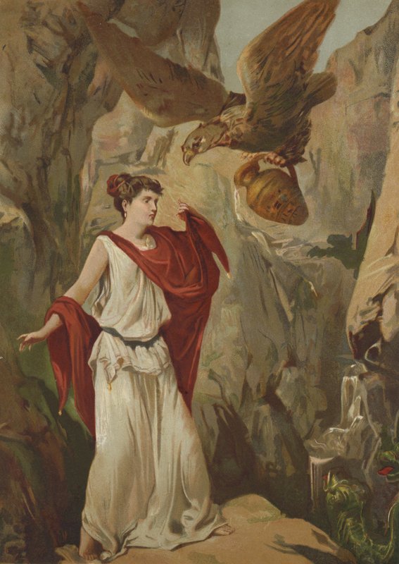 Zeus