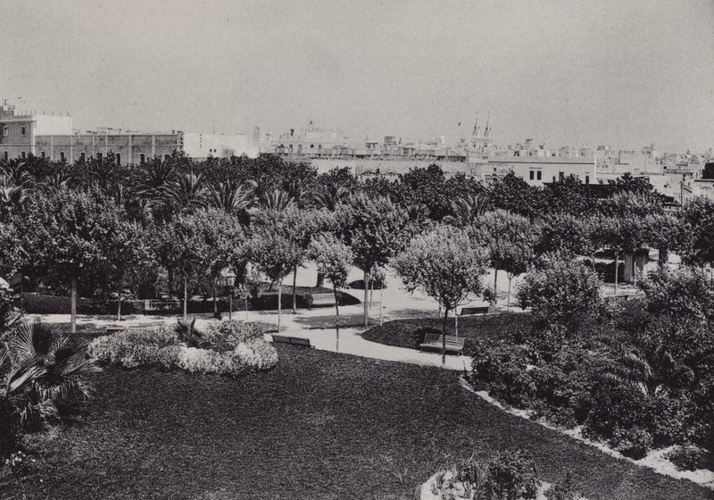 Cadiz: Parque Genoves (s/b fotoğraf) by Spanish Photographer