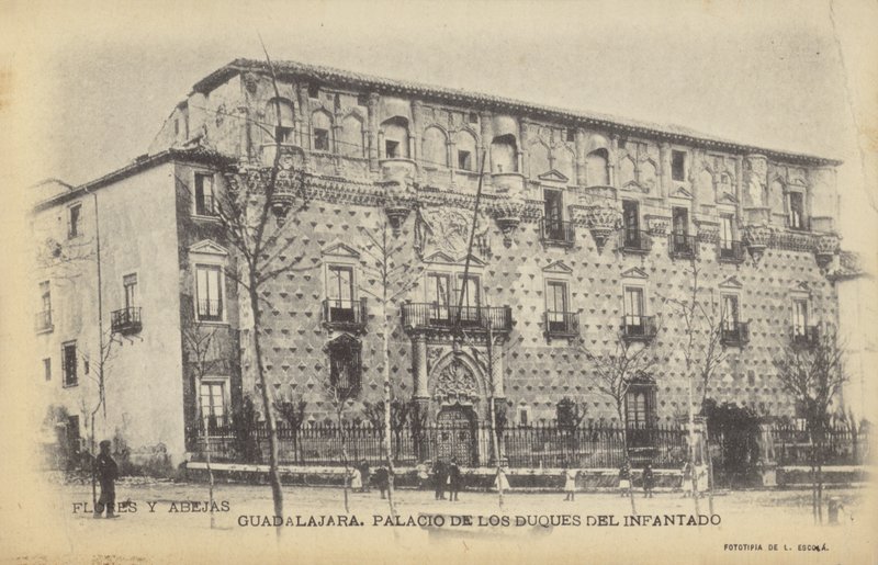 Palacio del Infantado, Gudalajara, İspanya (b/w fotoğraf) by Spanish Photographer