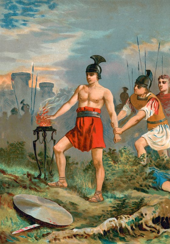 Scaevola by Spanish School