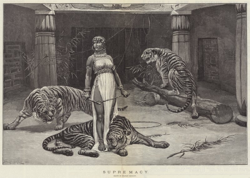 üstünlük by Stanley Berkeley