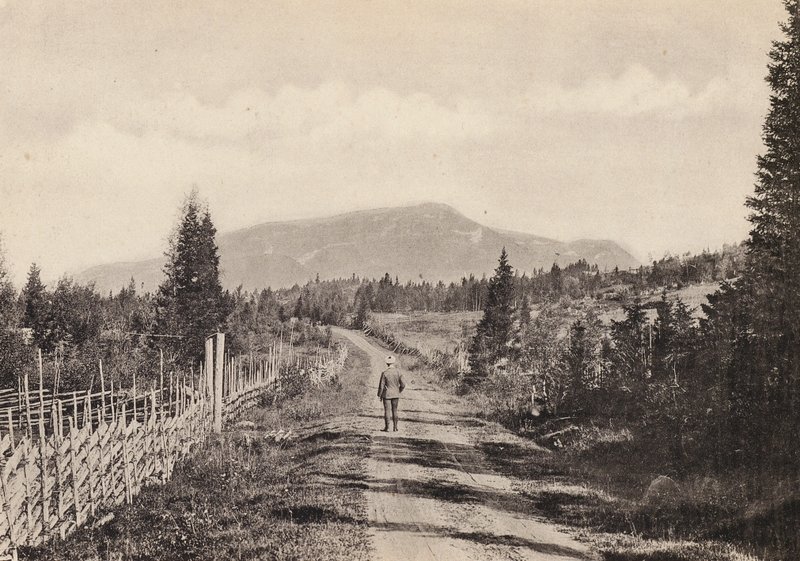 İsveç: Jamtland, Areskutan Fran Undersaker (s / b fotoğraf) by Swedish Photographer