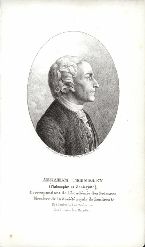 İbrahim Trembley by Swiss School