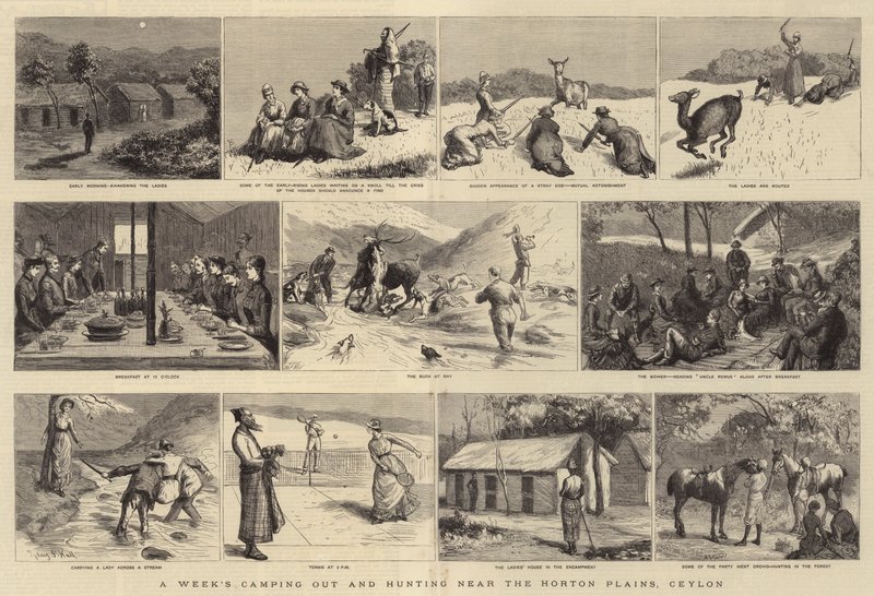 Horton Plains, Seylan yakınlarında Bir Hafta Kamp ve Avcılık by Sydney Prior Hall