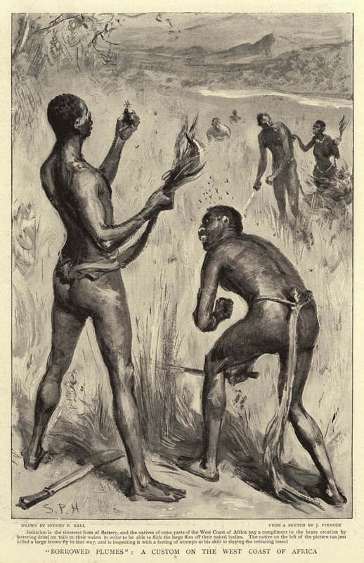 Ödünç Tüyler, Afrika