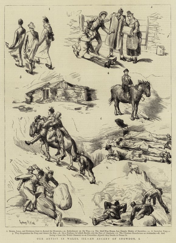 Galler