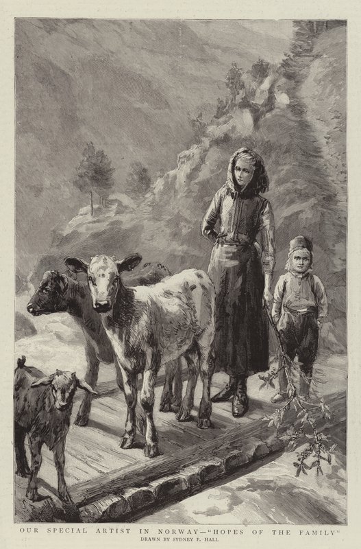Norveç