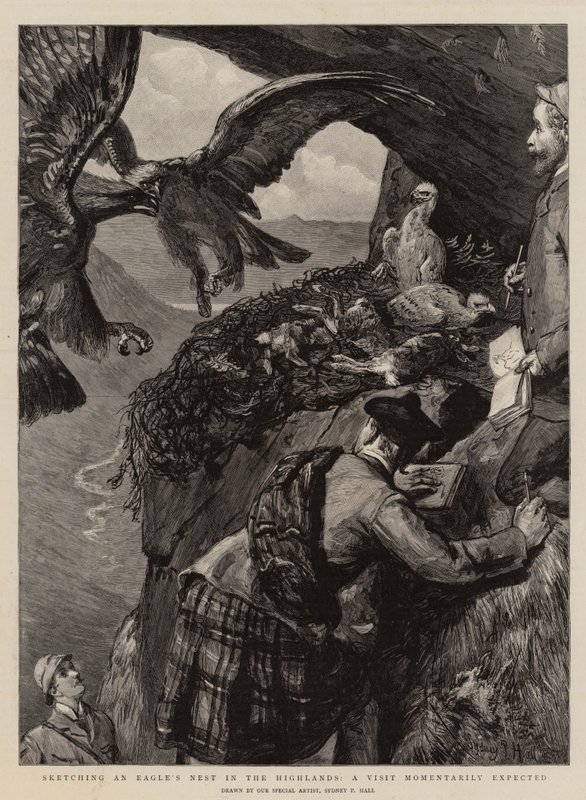 Yaylalarda Kartal Yuvası Çizimi, Bir Anlık Beklenen Ziyaret by Sydney Prior Hall