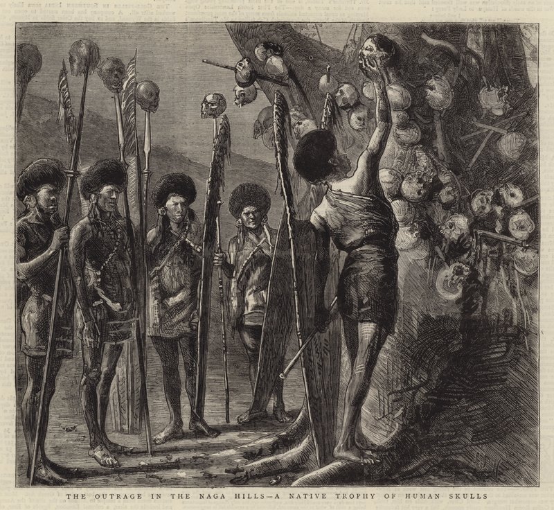 Naga Tepelerindeki Öfke, Yerli Bir İnsan Kafatasları Ödülü by Sydney Prior Hall