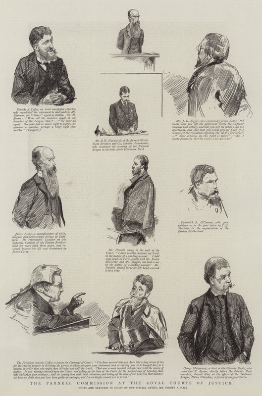Kraliyet Adalet Mahkemelerinde Parnell Komisyonu by Sydney Prior Hall