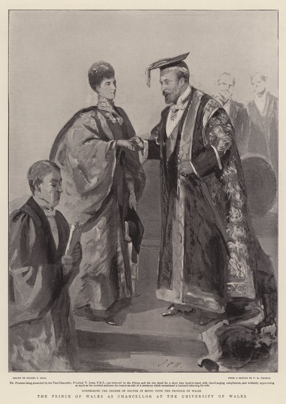 Galler Prensi, Galler Üniversitesi
