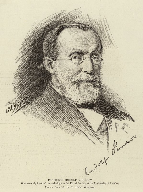 Profesör Rudolf Virchow by Theodore Blake Wirgman