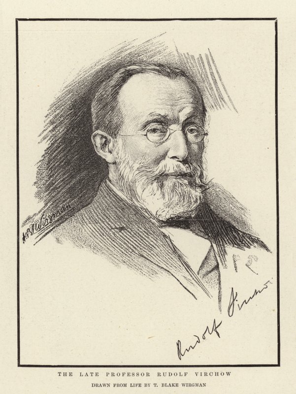 Rahmetli Profesör Rudolf Virchow by Theodore Blake Wirgman
