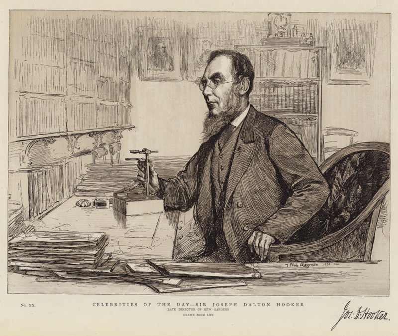 Günün Ünlüleri, Sir Joseph Dalton Hooker by Theodore Blake Wirgman