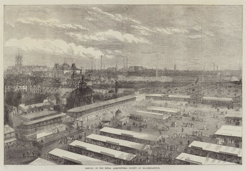 Kraliyet Tarım Derneği'nin Wolverhampton'daki Toplantısı by Thomas Sulman