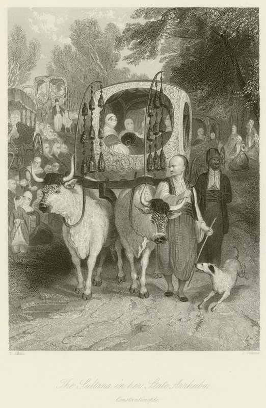 The Sultana in her State Arrhuba  by Thomas Allom