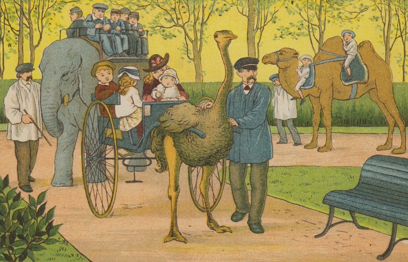 Paris: hayvanat bahçesi (renkli taş) by Thomas Crane