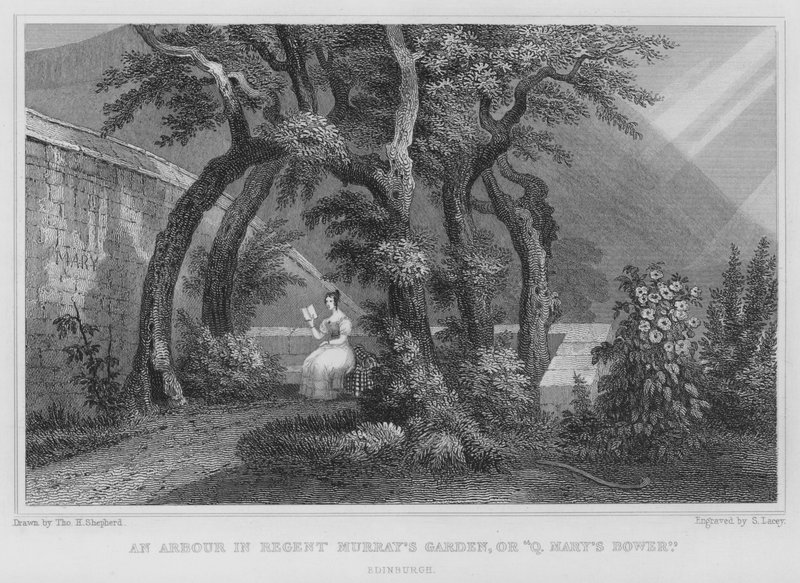 Regent Murray
