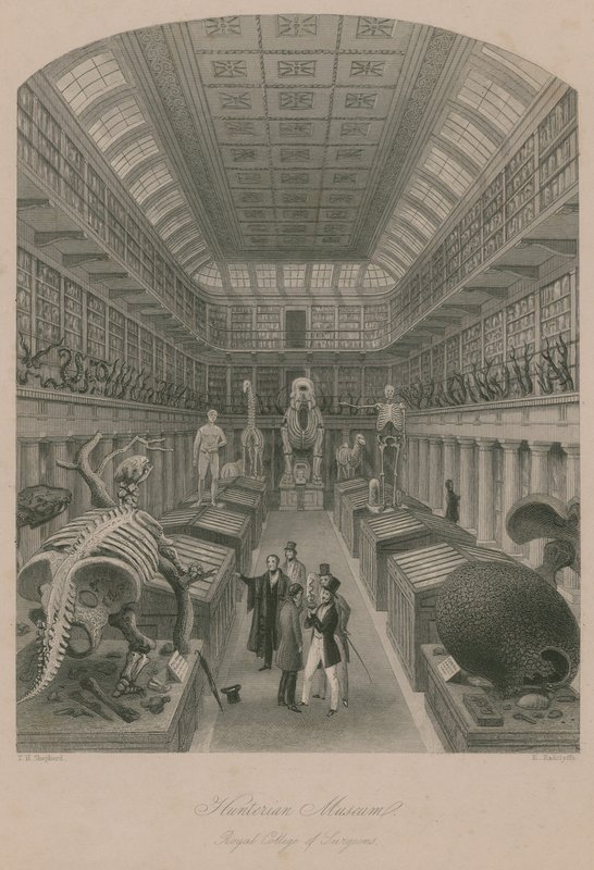 Hunterian Müzesi, Kraliyet Cerrahlar Koleji, Londra by Thomas Hosmer Shepherd