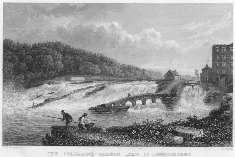 Coleraine Somon Sıçraması, County Londonderry (gravür) by Thomas Mann (after) Baynes