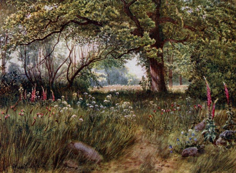 Kew Bahçeleri: Kraliçe