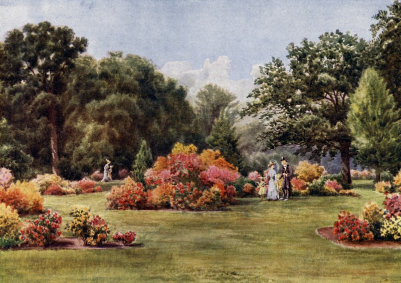Kew Bahçeleri: Açelyalar (renkli taş) by Thomas Mower Martin