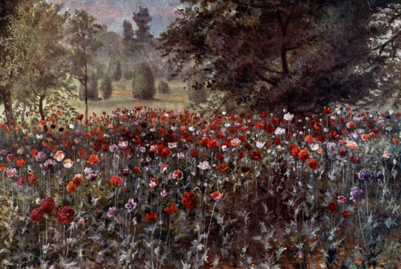 Kew Bahçeleri: Haşhaş Yatakları (renkli taş) by Thomas Mower Martin