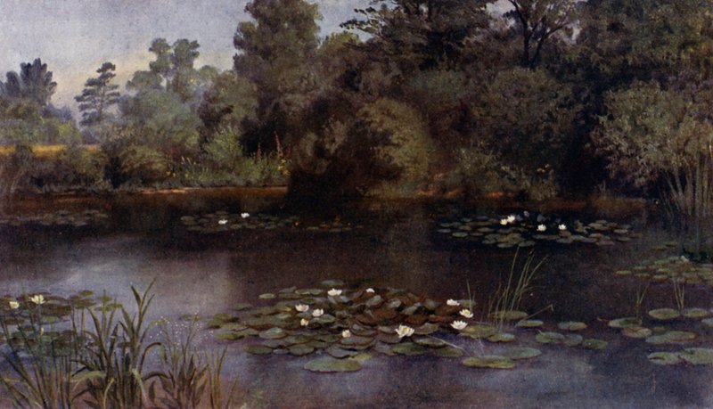 Kew Bahçeleri: Nilüfer Göleti (renkli taş) by Thomas Mower Martin