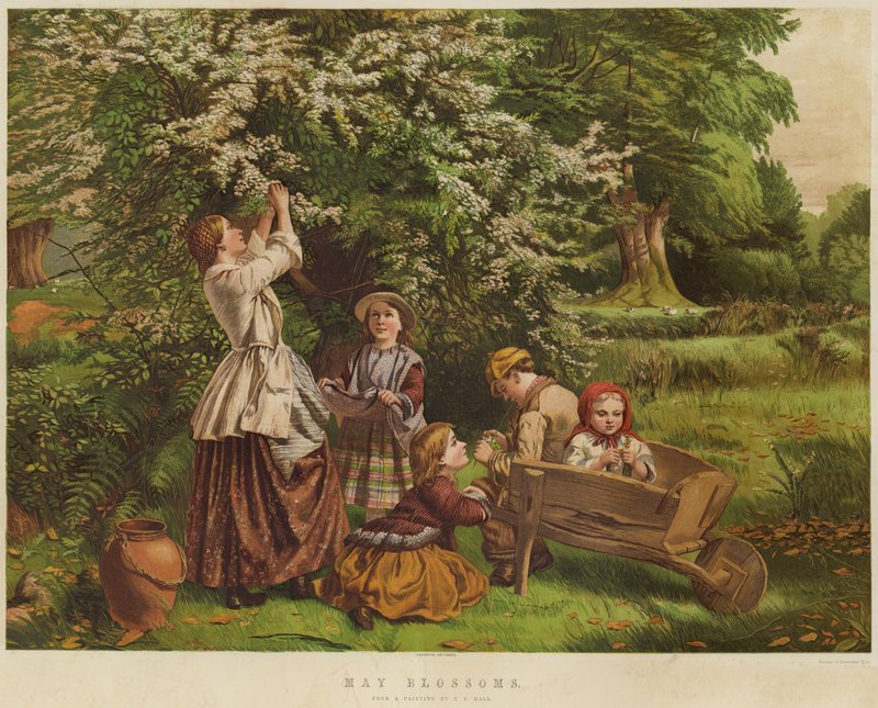 Mayıs Çiçekleri (chromolitho) by Thomas P. Hall