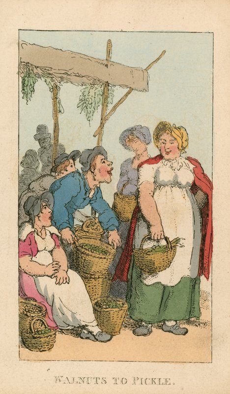 ಟರ್ಕಿ ಉಪ್ಪಿನಕಾಯಿಗೆ ವಾಲ್್ನಟ್ಸ್ by Thomas Rowlandson