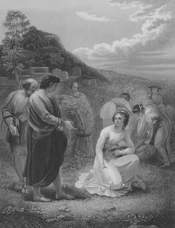 Ruth Gleaning, Ruth 2, Ayet 1-15 by Thomas Stothard