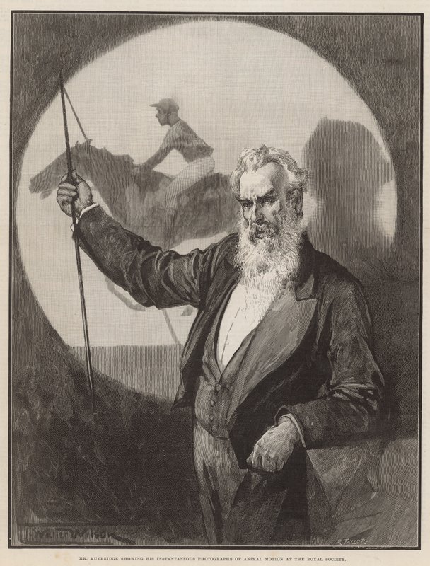 Bay Muybridge, Royal Society