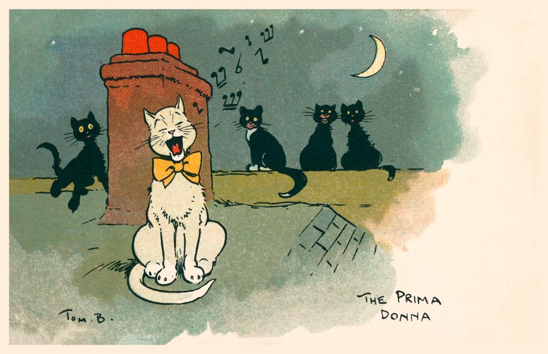  by Tom Browne