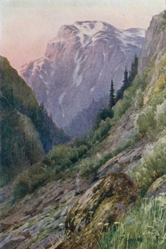 Nulla