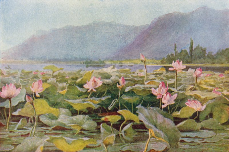 Dal Gölü