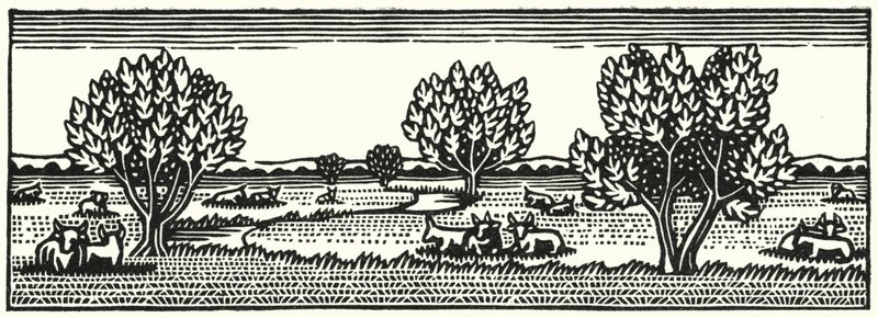 Thomas Hardy