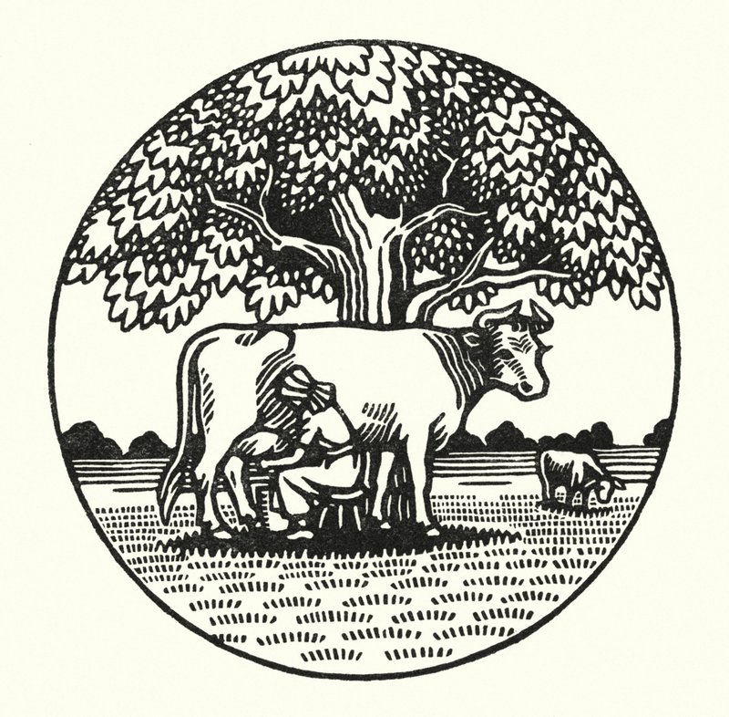 Thomas Hardy'nin Tess Of The D'Urbervilles için illüstrasyonu (gravür) by Vivien Gribble
