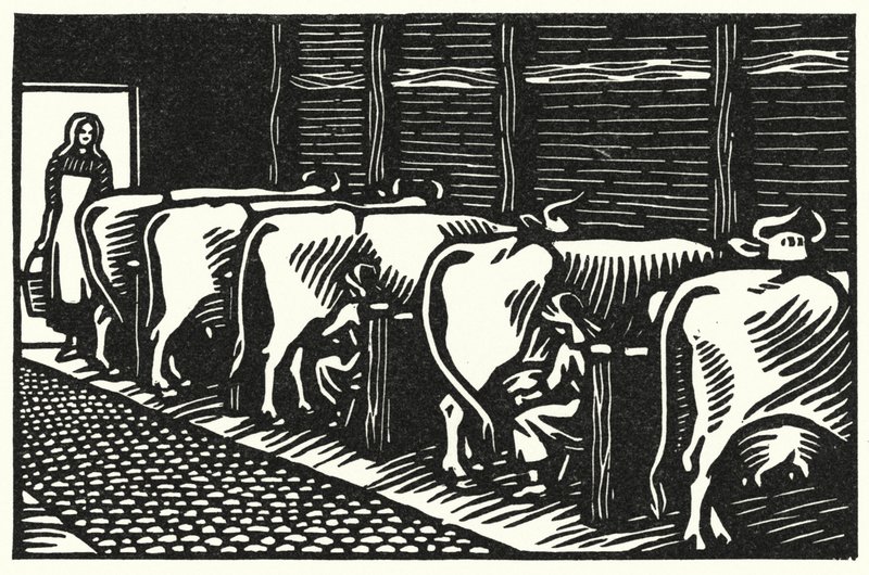 Thomas Hardy'nin Tess Of The D'Urbervilles için illüstrasyonu (gravür) by Vivien Gribble