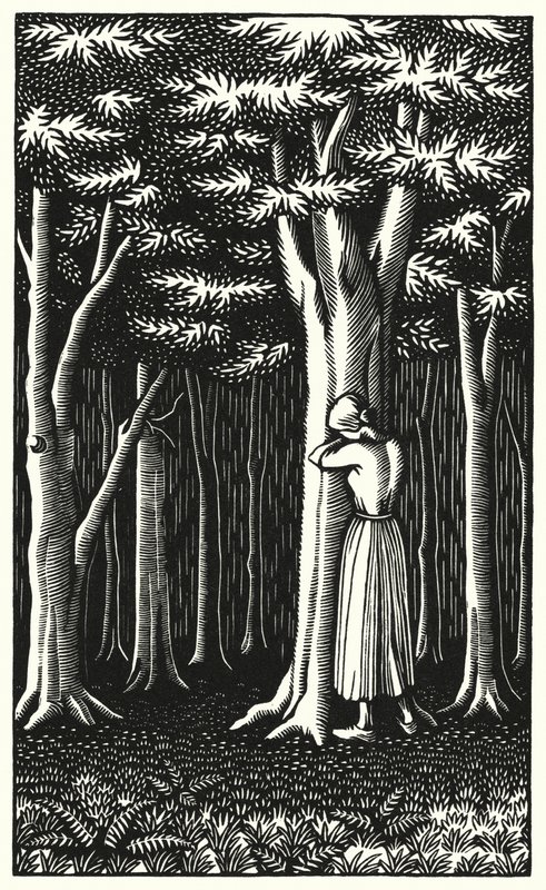 Thomas Hardy'nin Tess Of The D'Urbervilles için illüstrasyonu (gravür) by Vivien Gribble