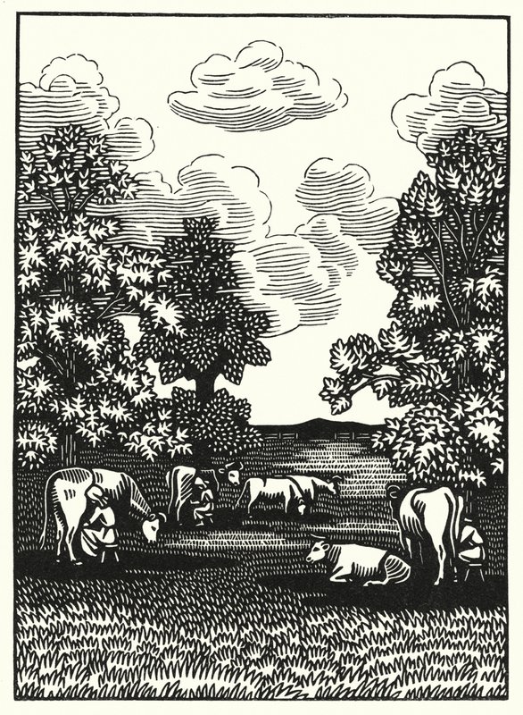 Thomas Hardy