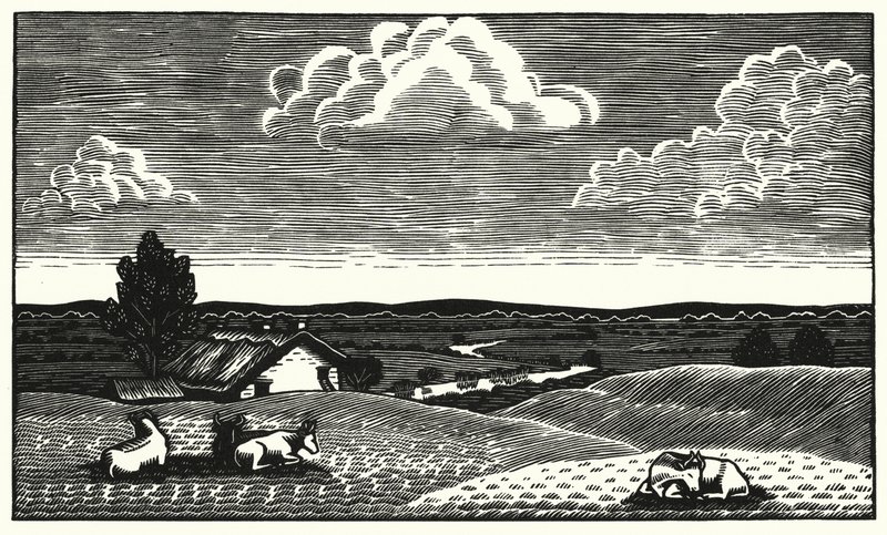 Thomas Hardy
