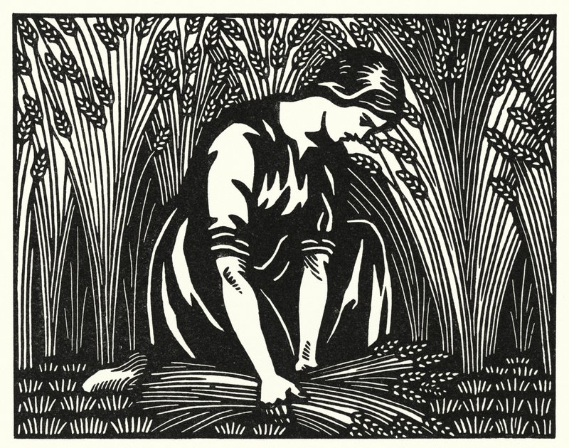 Thomas Hardy