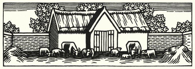 Thomas Hardy