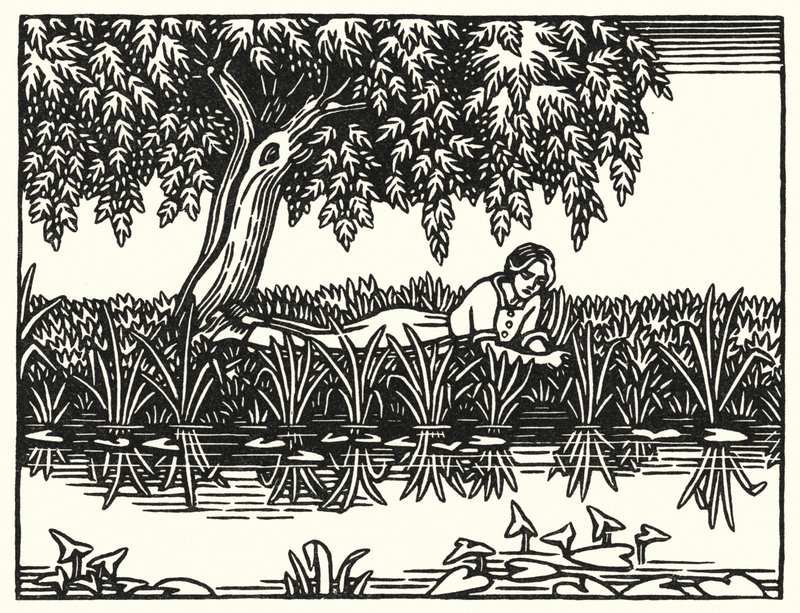 Thomas Hardy