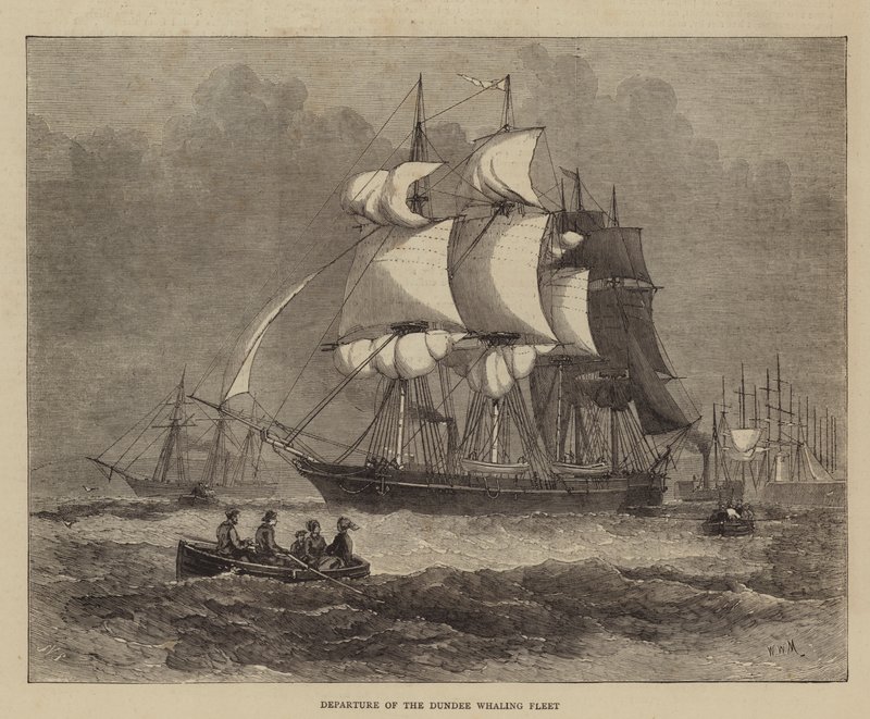 Dundee Balina Filosunun Ayrılışı by Walter William May
