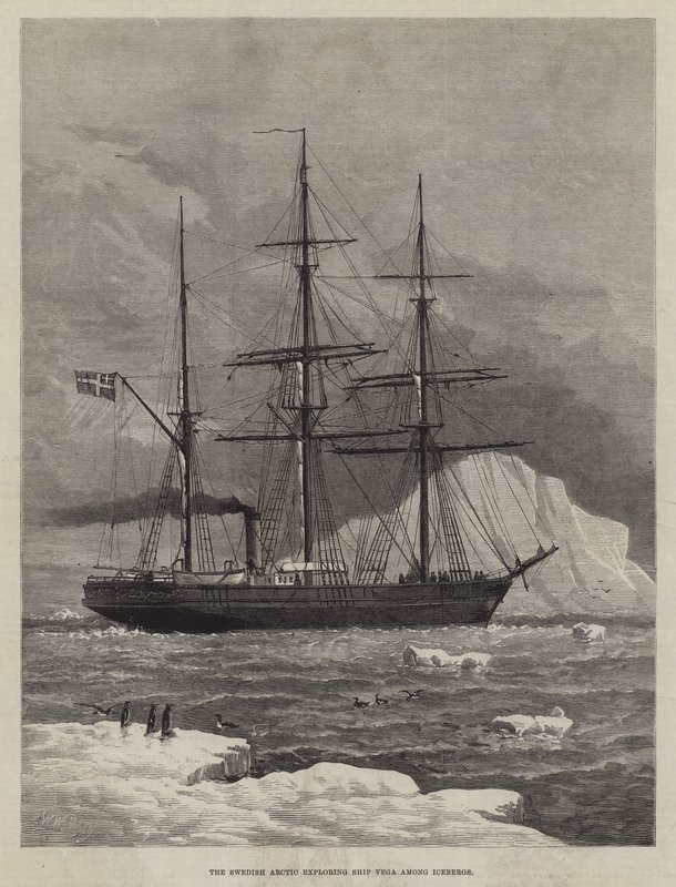 İsveç Arktik, Buzdağları arasında Ship Vega