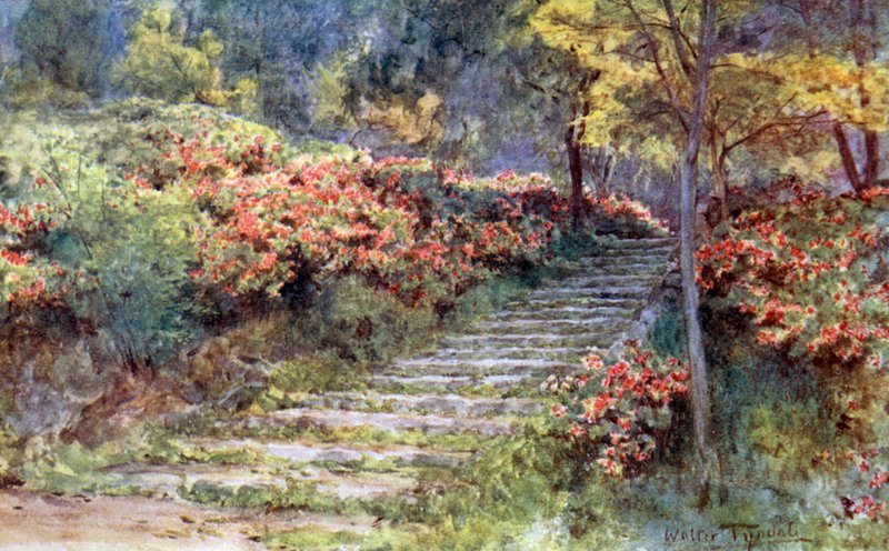 Eski Bir Merdivenin Yanındaki Açelyalar, Kyoto by Walter Frederick Roofe Tyndale