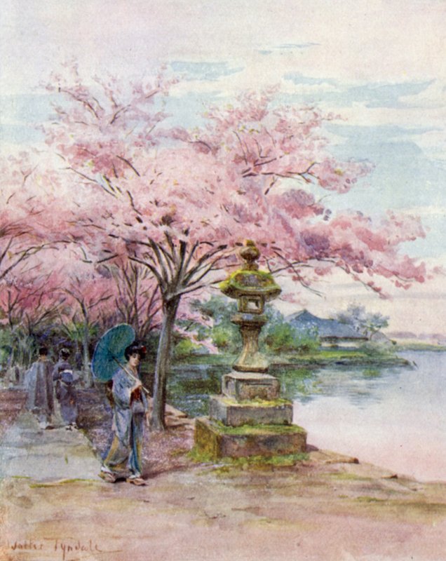 Kiraz Çiçeği ve Taş Fener, Ueno Parkı by Walter Frederick Roofe Tyndale