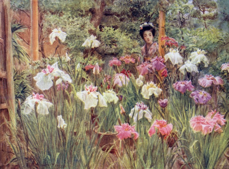 Numune Süsenleri by Walter Frederick Roofe Tyndale