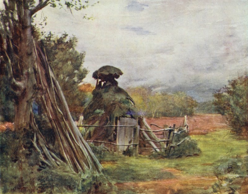 Yeni Orman: Kömür Yakıcı Kulübesi, Markash (renkli taş) by Walter Frederick Roofe Tyndale
